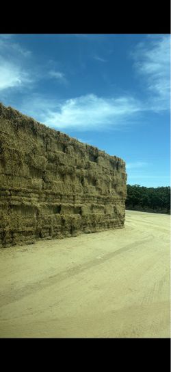 hay for sale/ Alfalfa de venta