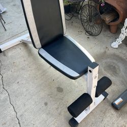 Weight Bench 