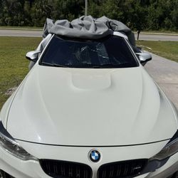 OEM M4 Hood