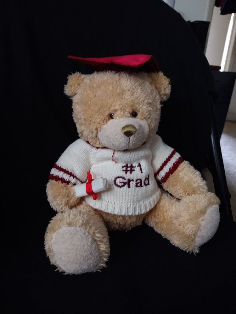Graduation Teddy Bear