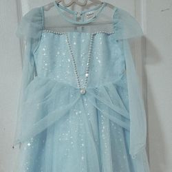 Cinderella Custom