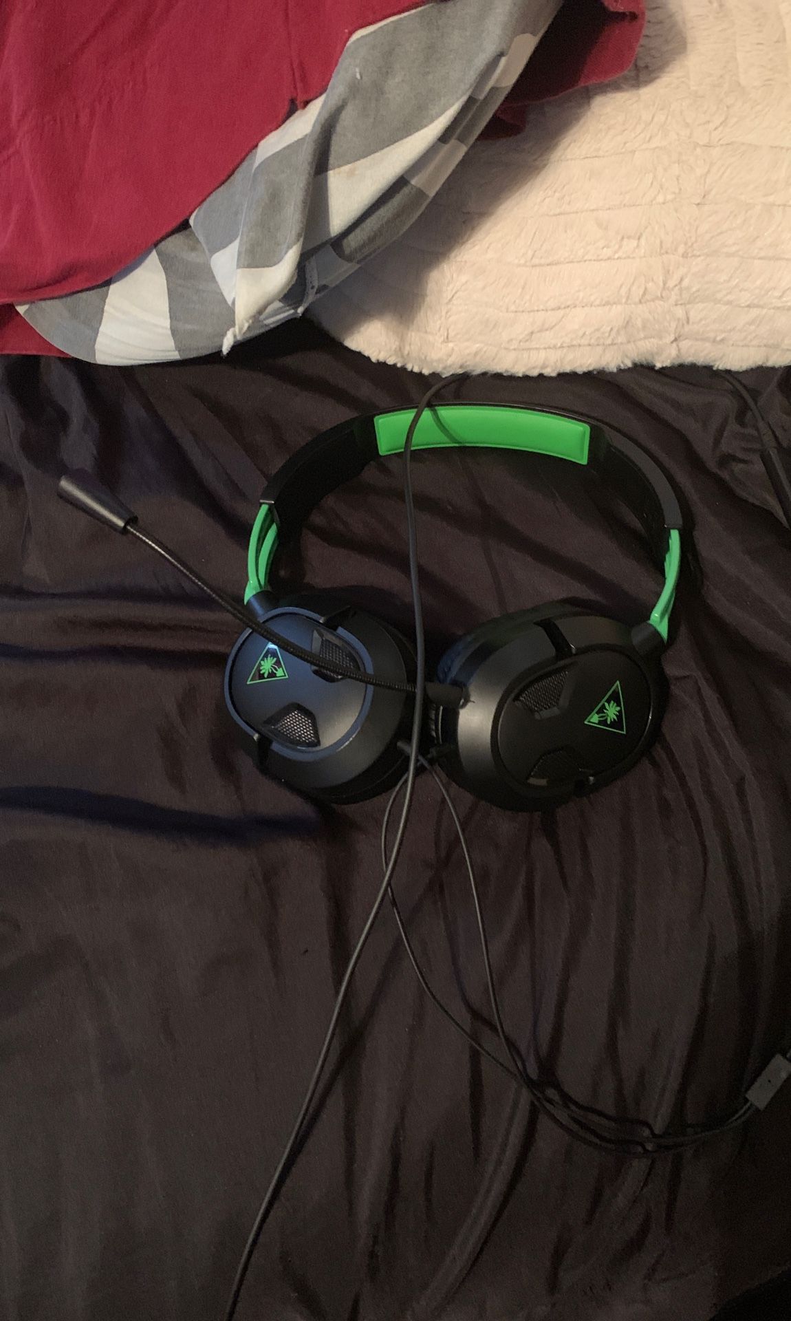 turtle beaches