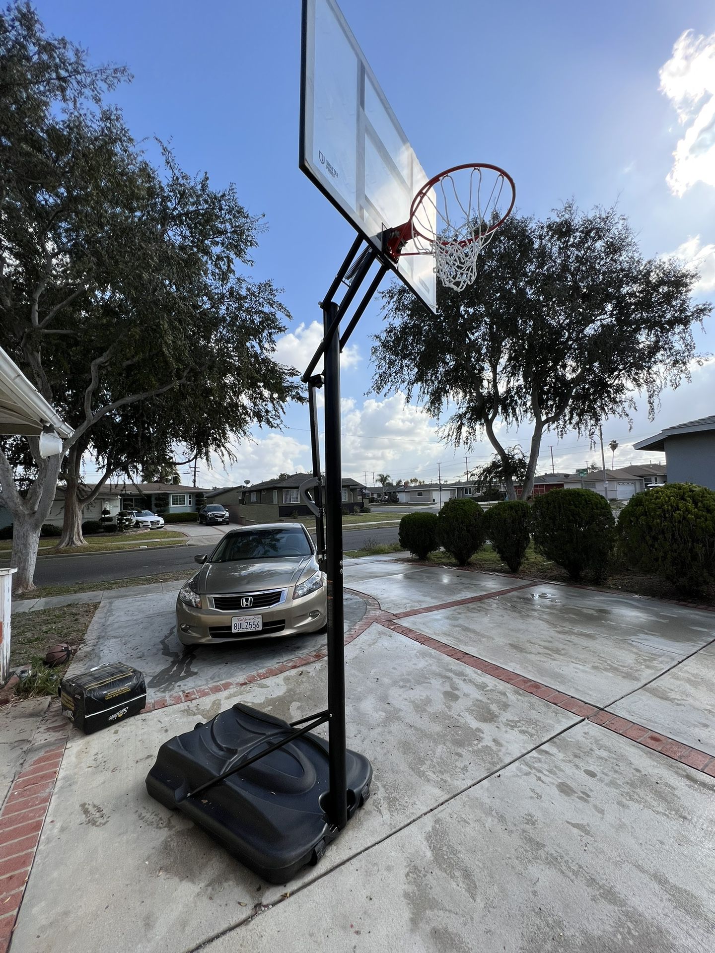 10 Foot Lifetime Basketball Court Hoop