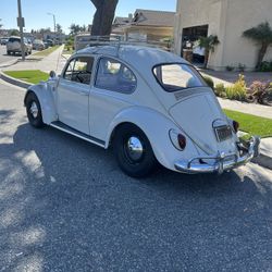 Vw Bug