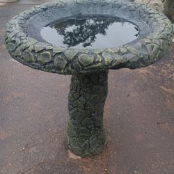 Bird Bath