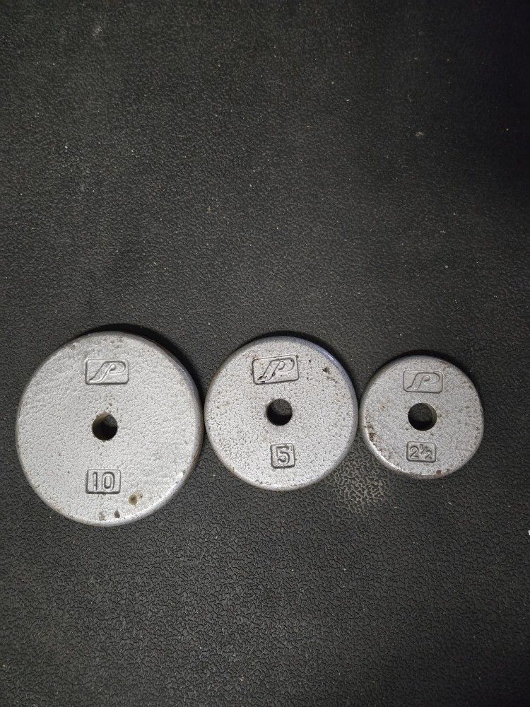 80 Pounds Of Weight Plates For Standard Barbells And Dumbbells