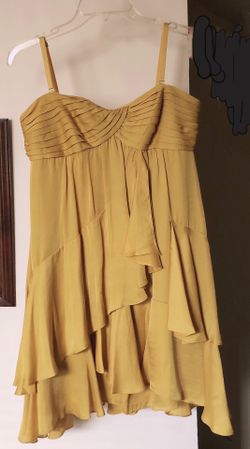 BCBG SILk TRAPLESS TUBE BACKLESS DRESS