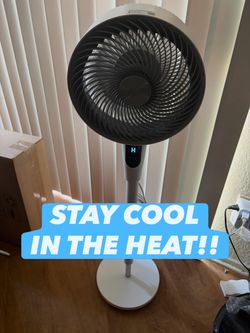 Dreo HIGH POWERED FAN! Rotating, Indoor, work room bedroom cool house fan for cooling immediate pickup