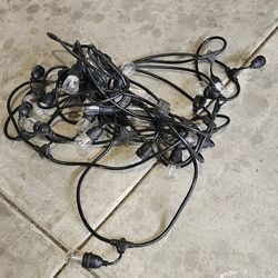 Outdoor Lights Very Cheap $20 Get Ready For Christmas