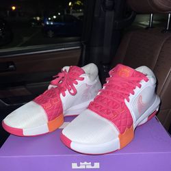 Lebron Witness 8