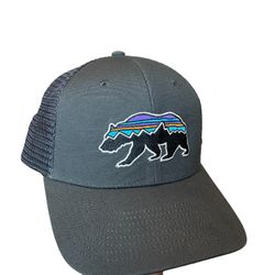 Patagonia Mens Bear Gray Hat