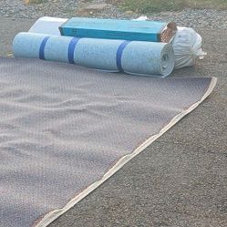 New  Carpet .Carpet Padding And Tack Strip