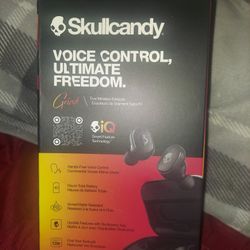 SkullCandy EARBUDS