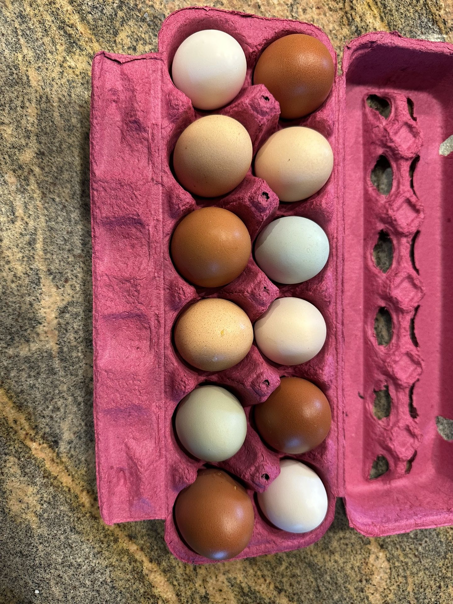 One Dozen Eggs 5.00