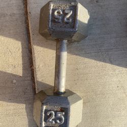25 Pound Dumbbell Single 