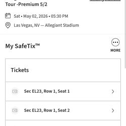 Morgan Wallen Concert