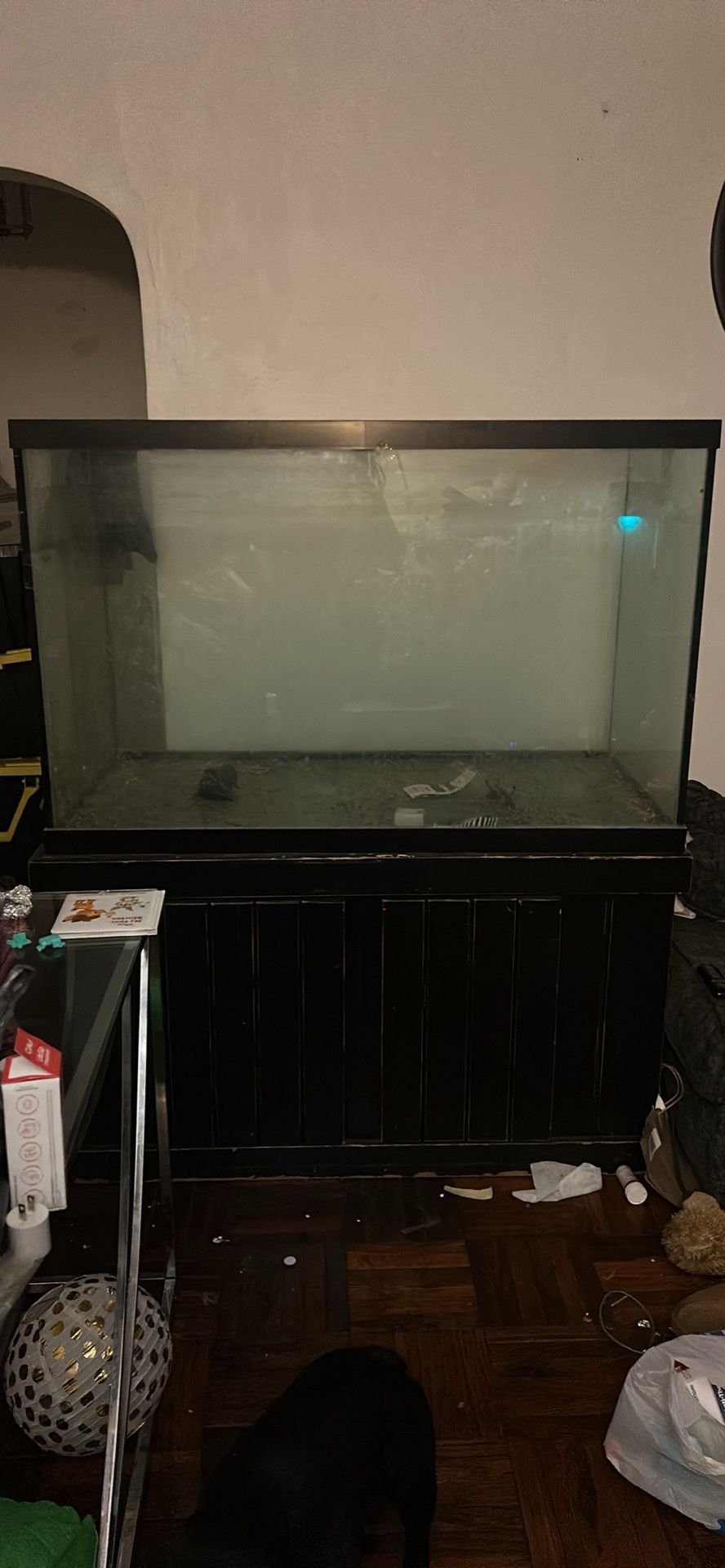 Large Fish Tank
