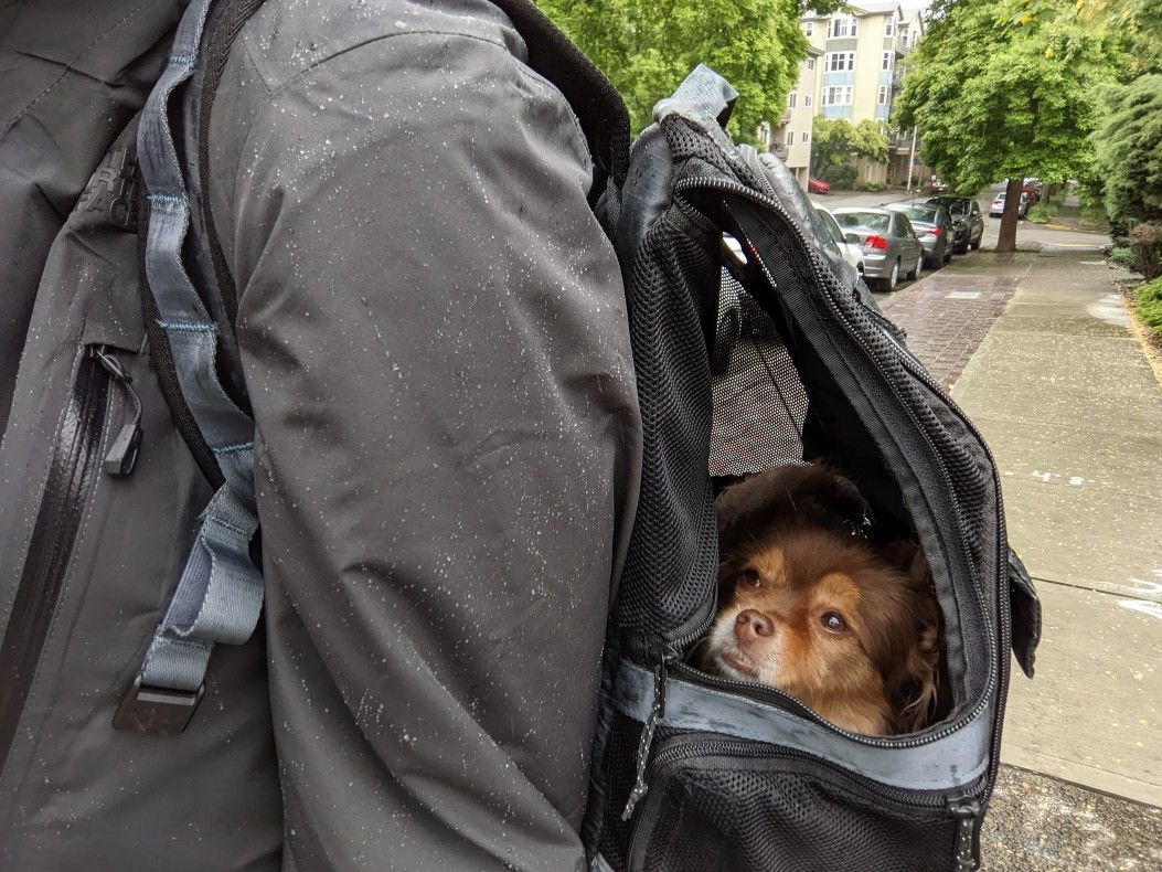 Timbuk2 MuttMover Dog Backpack Carrier