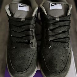 Nike Dunk SB Pro b