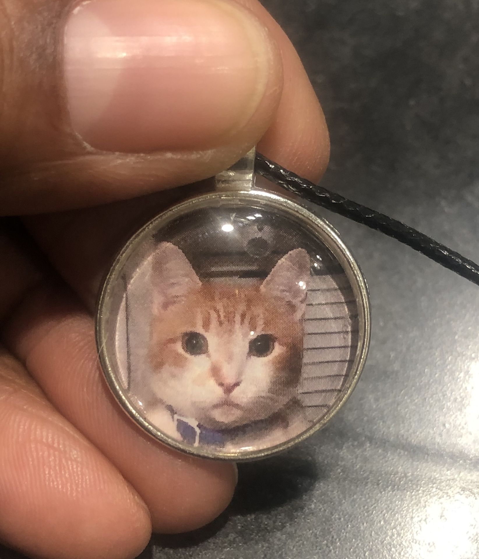 Cats Photo Pendants