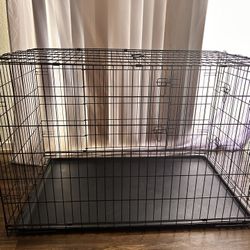 Kennel 