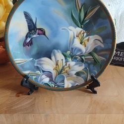 Vintage Gems of Nature Beautiful Hummingbirds