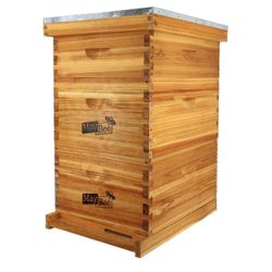 10-Frame Beehive (Jh2284F)