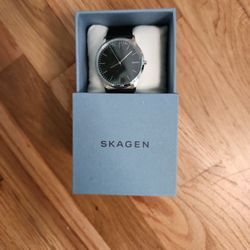 Skagen Watch