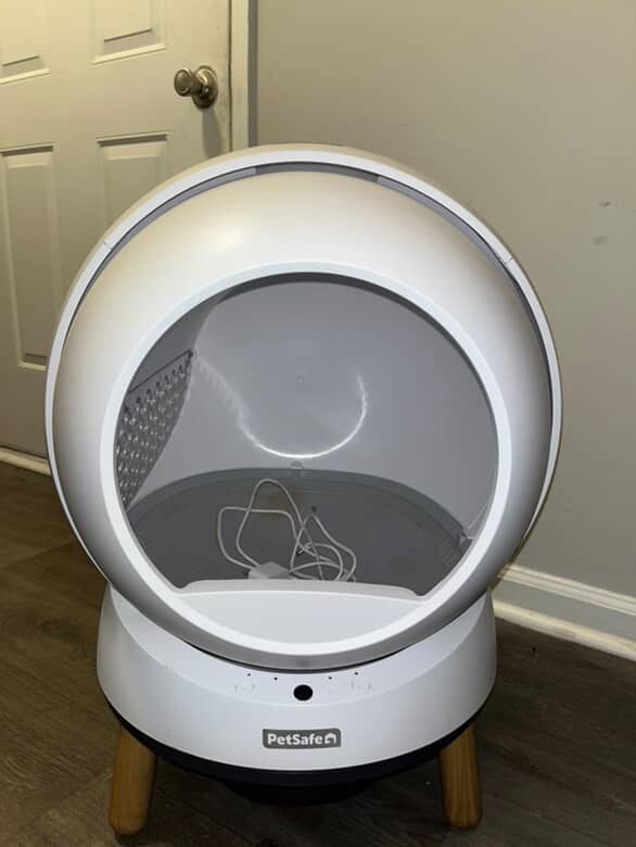 auto litter box