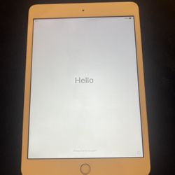 IPad mini 3 