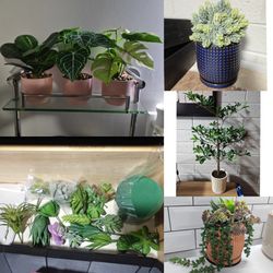 Artificial plants succulents in pots
