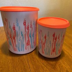 Tupperware Set Of 2