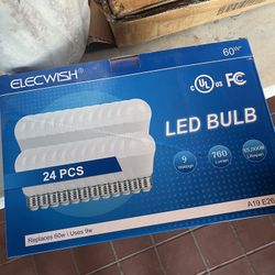 Light Bulbs