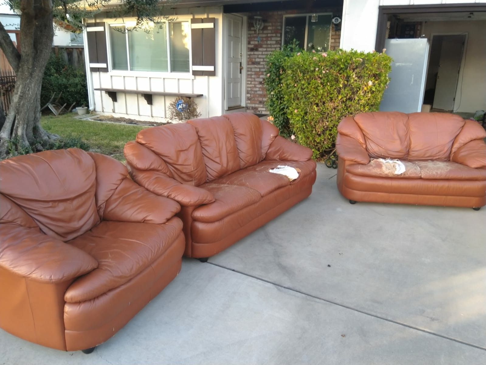 Free leather sofa set