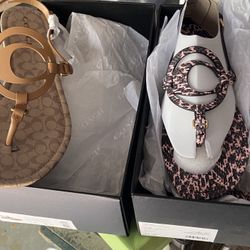 5 Pairs Of New Designer Shoes 