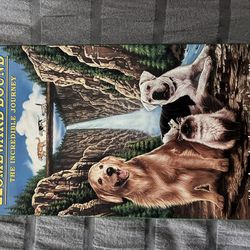 Disney Homeward Bound The Incredible Journey VHS Michael J. Fox Sally Field G