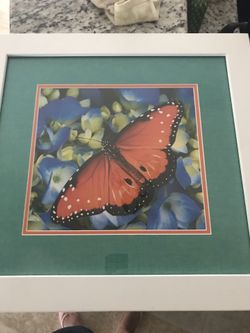 Butterfly Picture Frame