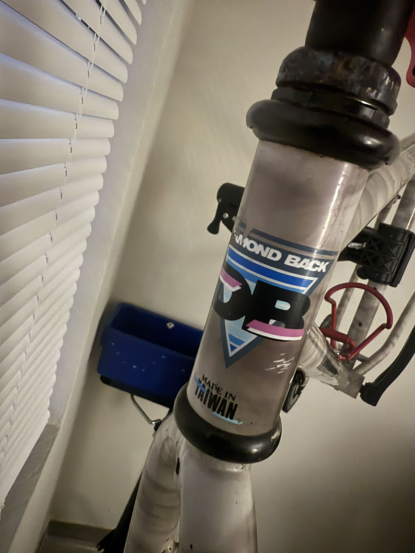 Diamond Back Ascent Ex 