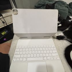 Apple Magic Keyboard