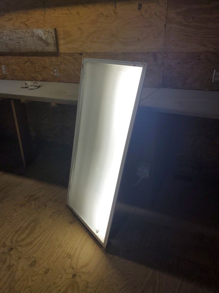 Light Fixture