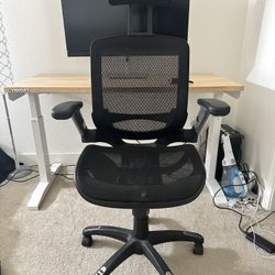 Ergonomic Office Chair