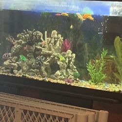75 Gallon Aquarium 