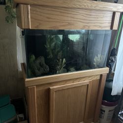 Fish Tanks 80 Gallon