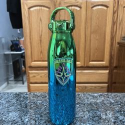 Disney Parks Marvel Guardians Of The Galaxy Blue Green Metal Water Bottle.  Brand new never used with tag on the bottom.  Smoke free home  