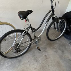 Schwinn Skyliner Bicycle For Sale As Is