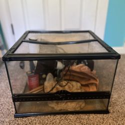 Reptile Tank And Accessories 