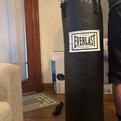 Everlast Punching Bag  100lb