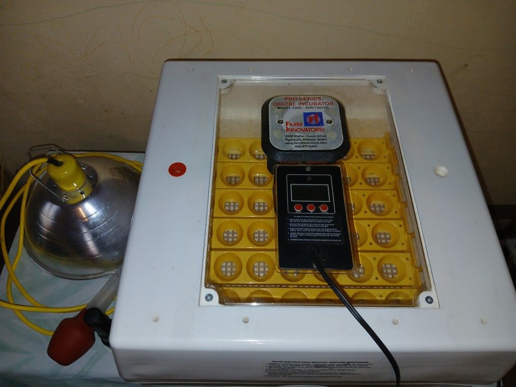 41 Egg Incubator And Accessories