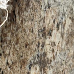 Granite Slab