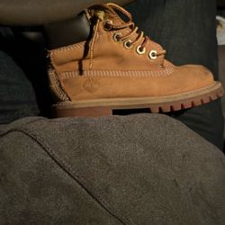 Kid Timberland Wheats